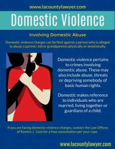 Domestic Violence