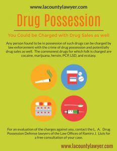 Drug Possession