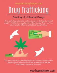 Drug Trafficking