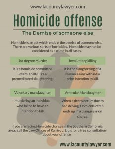 Homicide Crimes