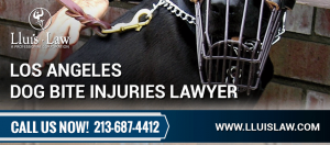 los angeles dog bite injuries lawyers